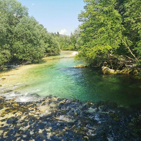 Apartma Neva Bohinj Zewnętrze zdjęcie