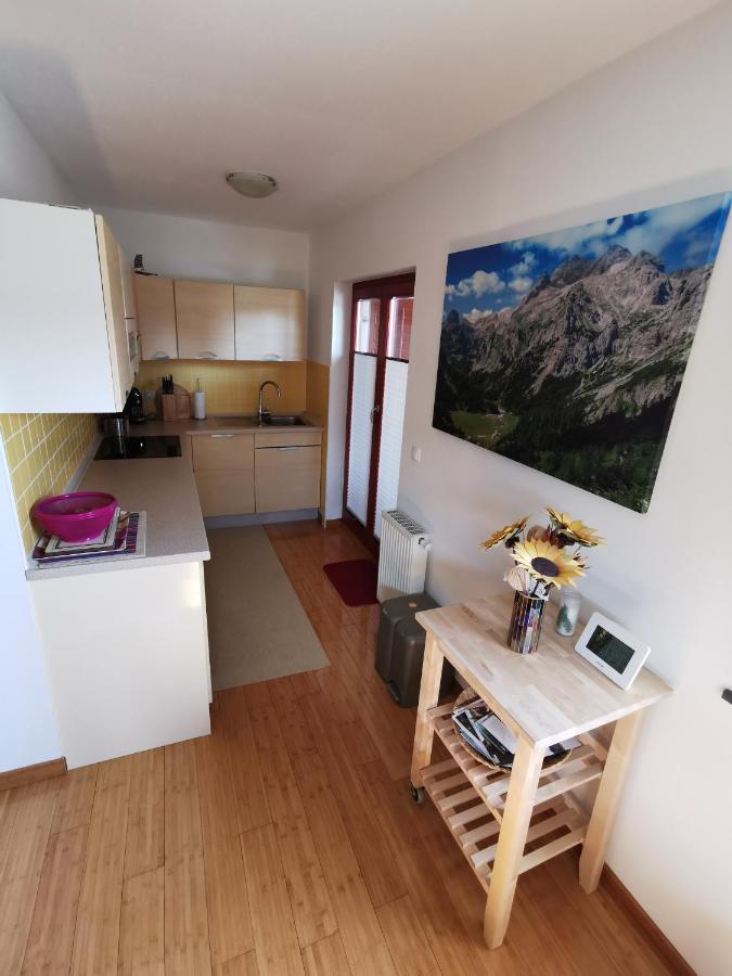 Apartament Apartma Neva Bohinj Zewnętrze zdjęcie