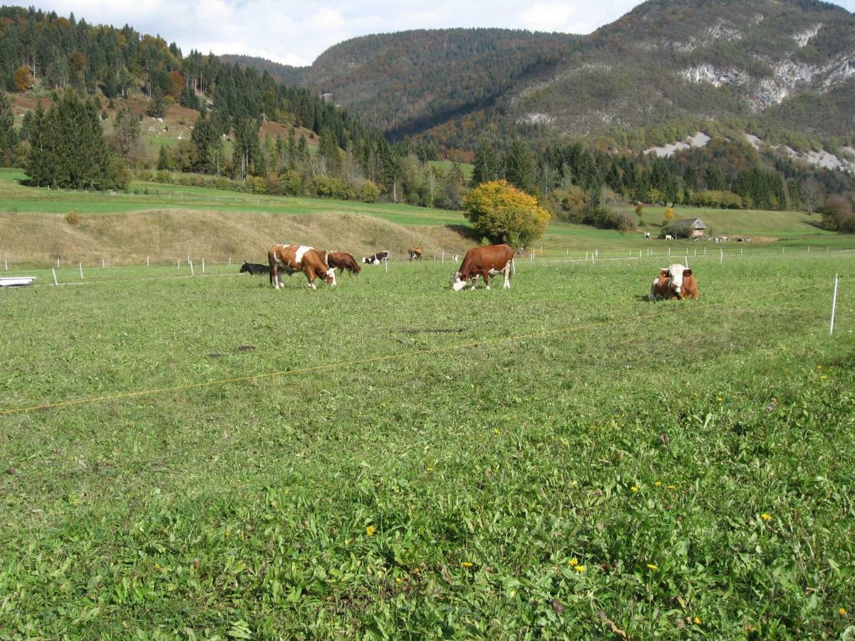 Apartament Apartma Neva Bohinj Zewnętrze zdjęcie