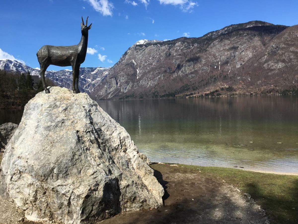 Apartma Neva Bohinj Zewnętrze zdjęcie